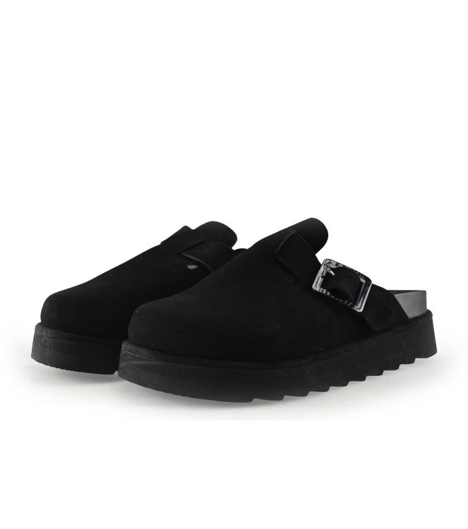 Colors of California Muiltjes