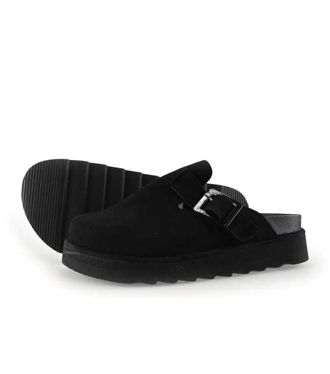 Colors of California Muiltjes