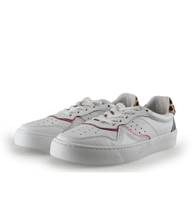 Colors of California Sneakers