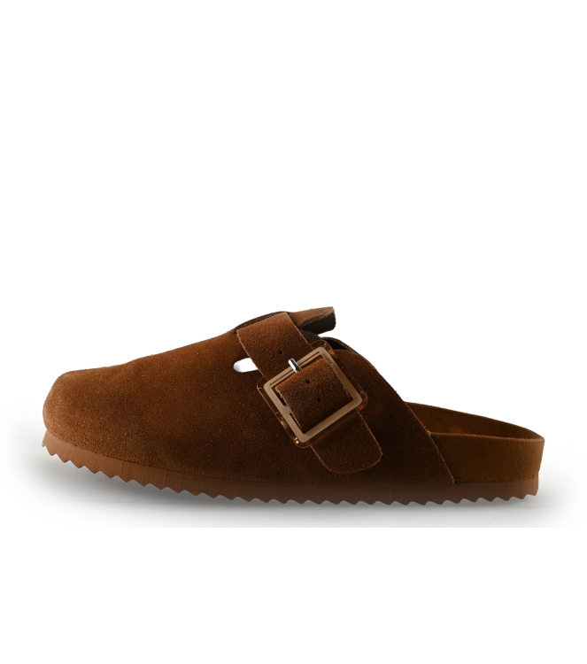 Colors of California Muiltjes