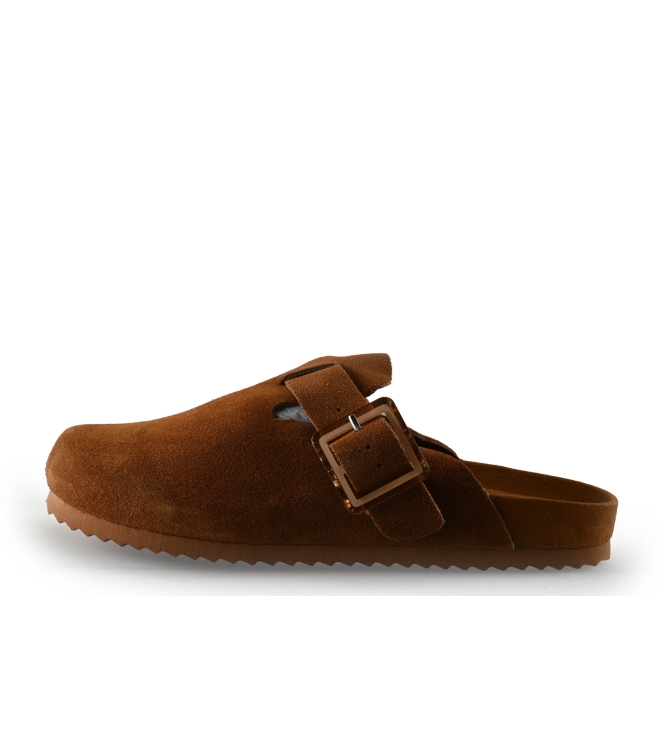 Colors of California Muiltjes