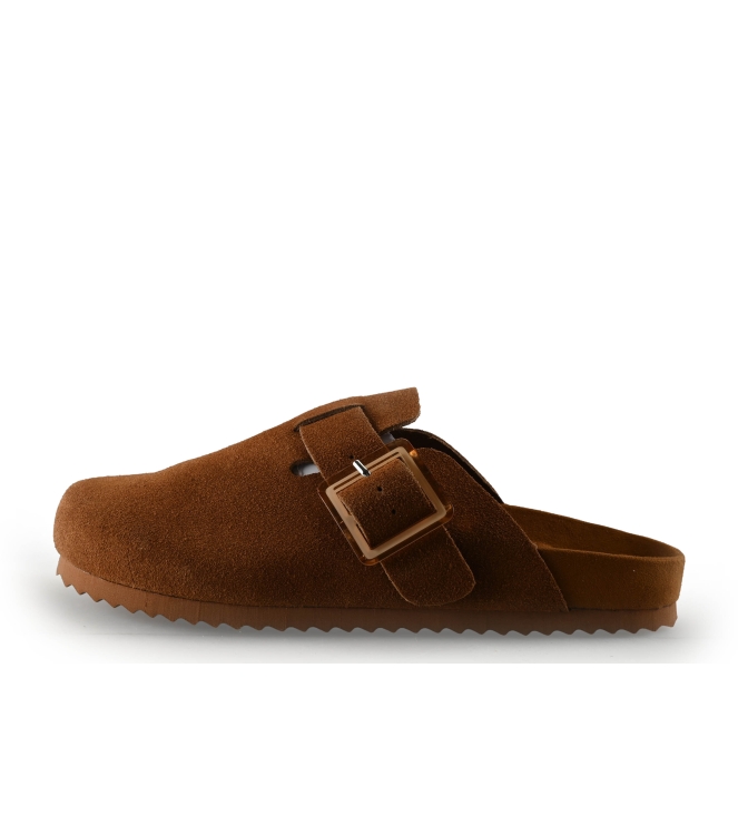 Colors of California Muiltjes