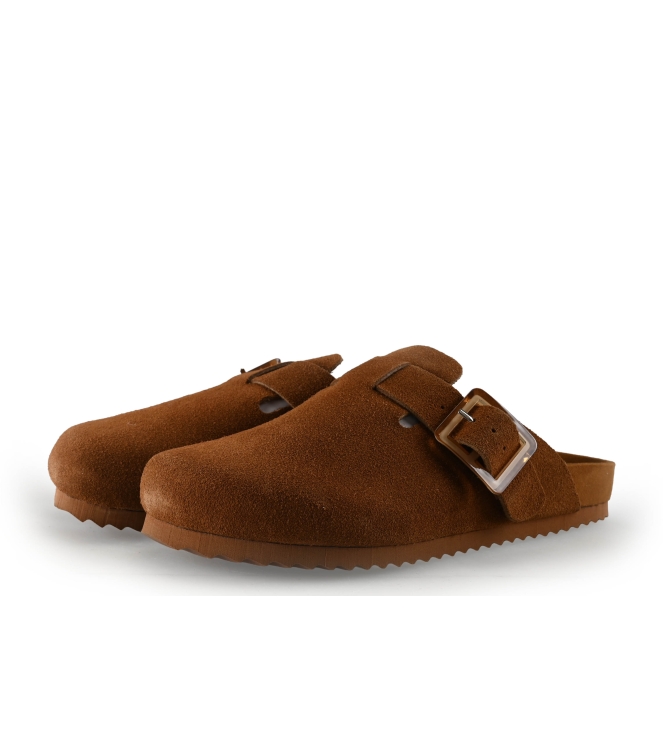 Colors of California Muiltjes