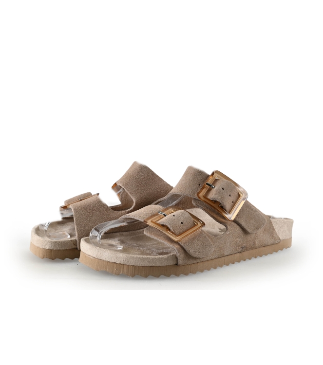 Colors of California Muiltjes