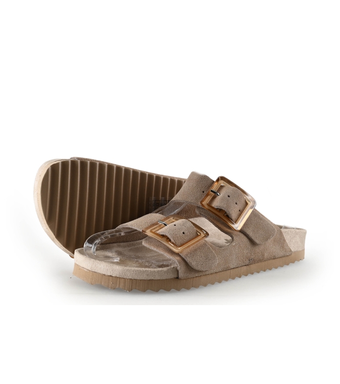 Colors of California Muiltjes