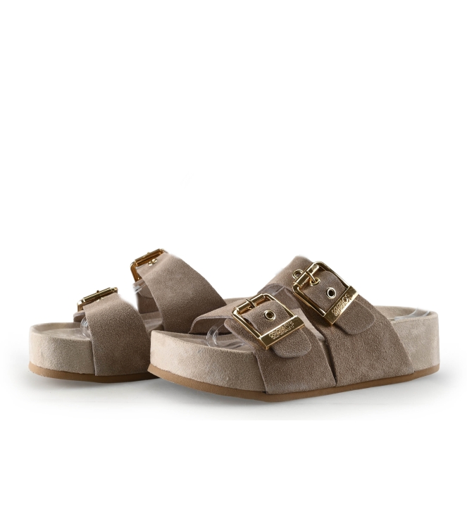 Colors of California Muiltjes