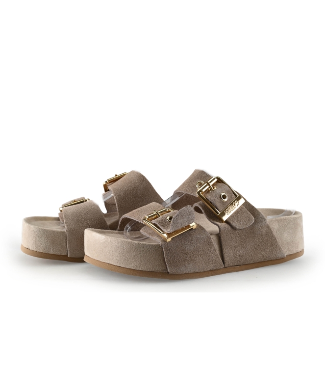 Colors of California Muiltjes