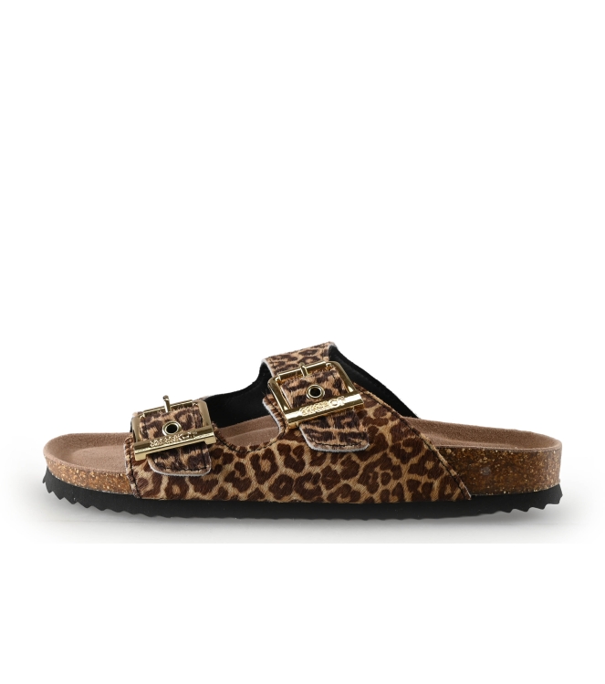 Colors of California Muiltjes