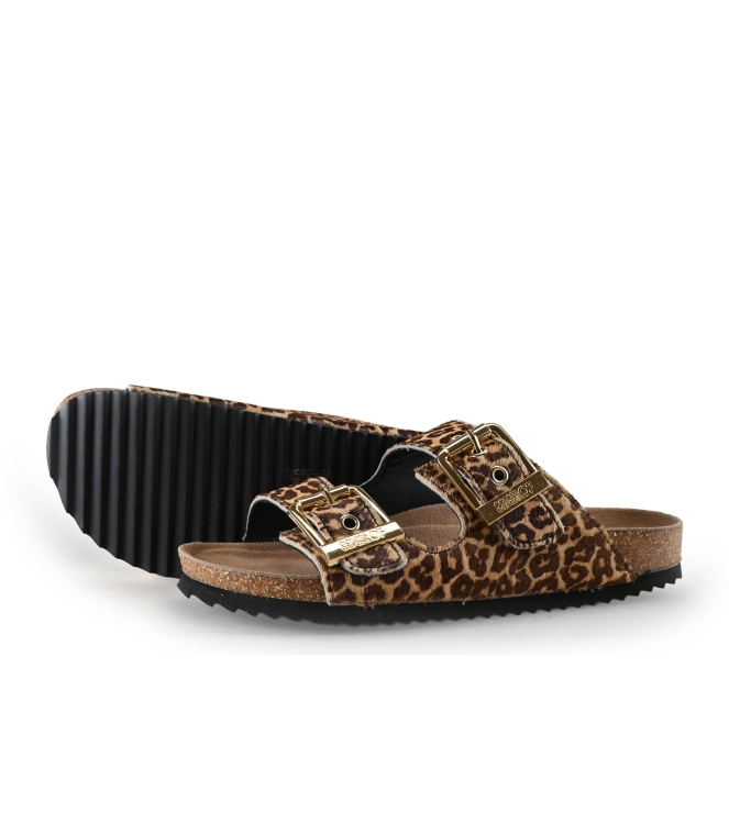 Colors of California Muiltjes