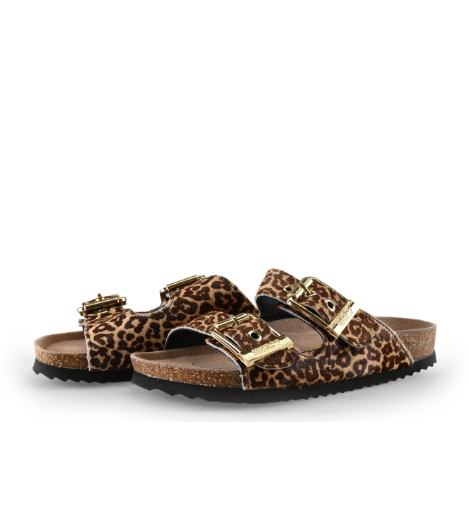 Colors of California Muiltjes