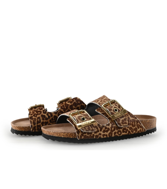 Colors of California Muiltjes