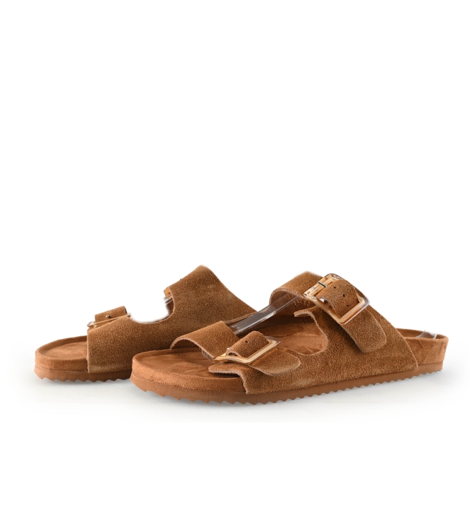 Colors of California Muiltjes