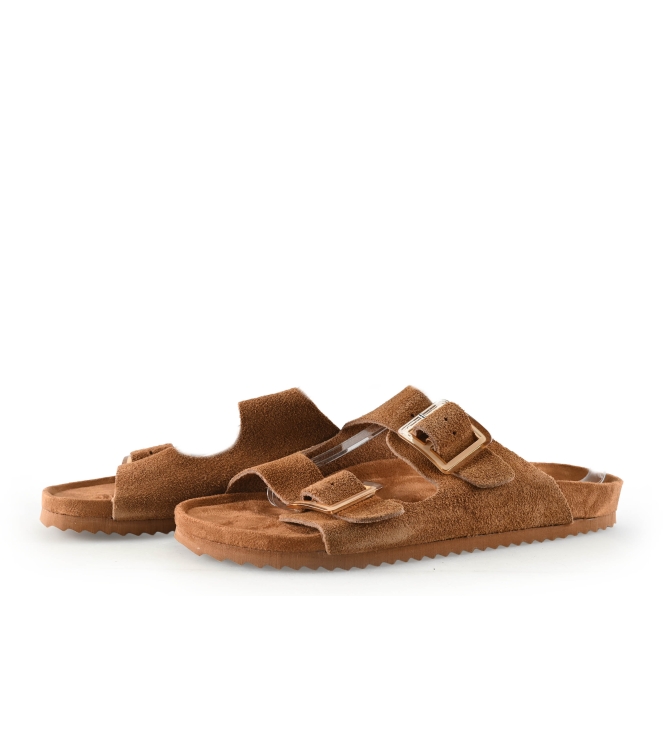 Colors of California Muiltjes