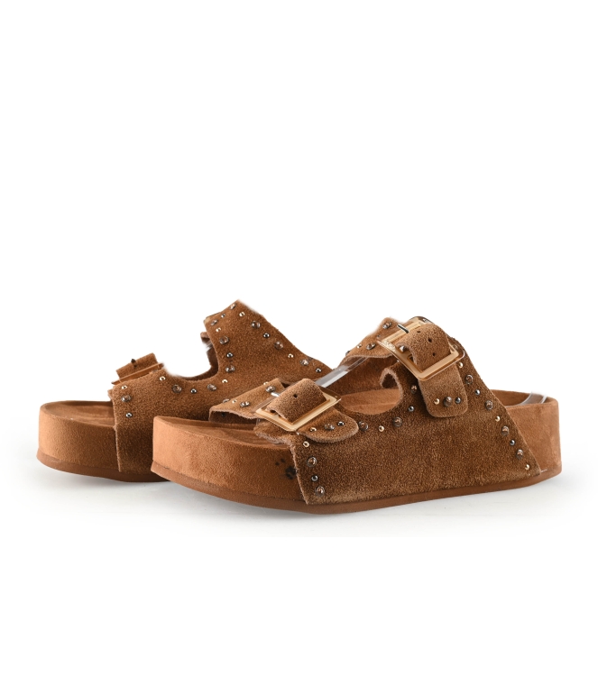 Colors of California Muiltjes