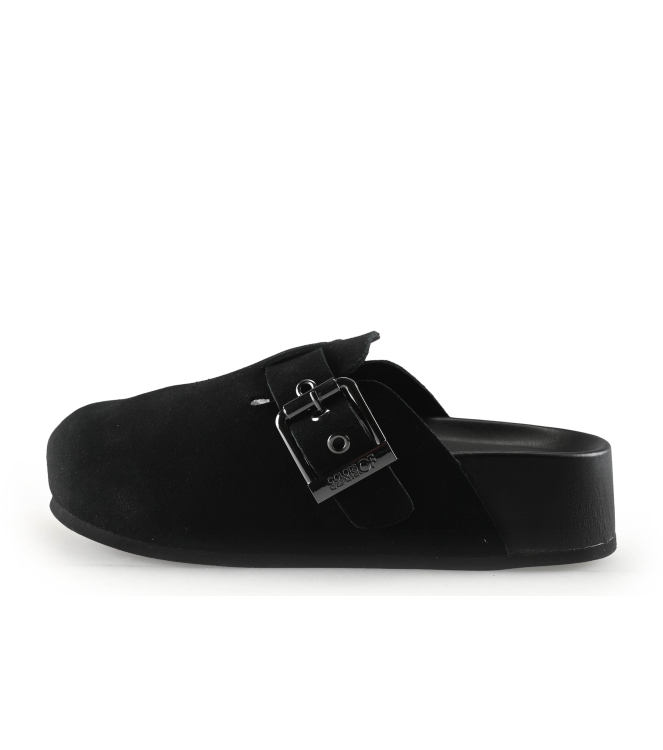 Colors of California Muiltjes