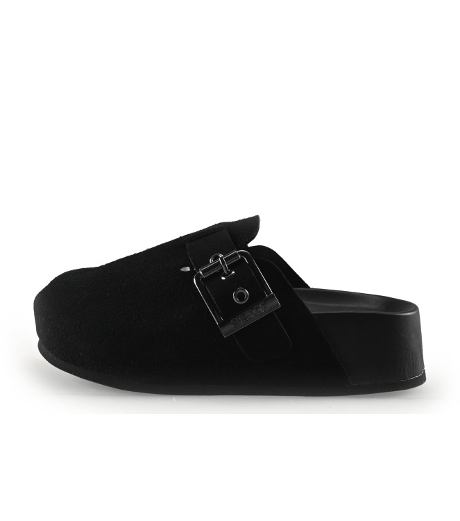 Colors of California Muiltjes