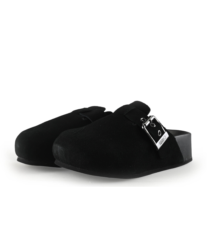 Colors of California Muiltjes