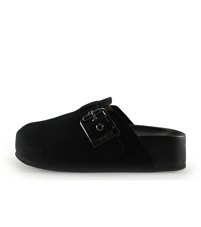 Colors of California Muiltjes