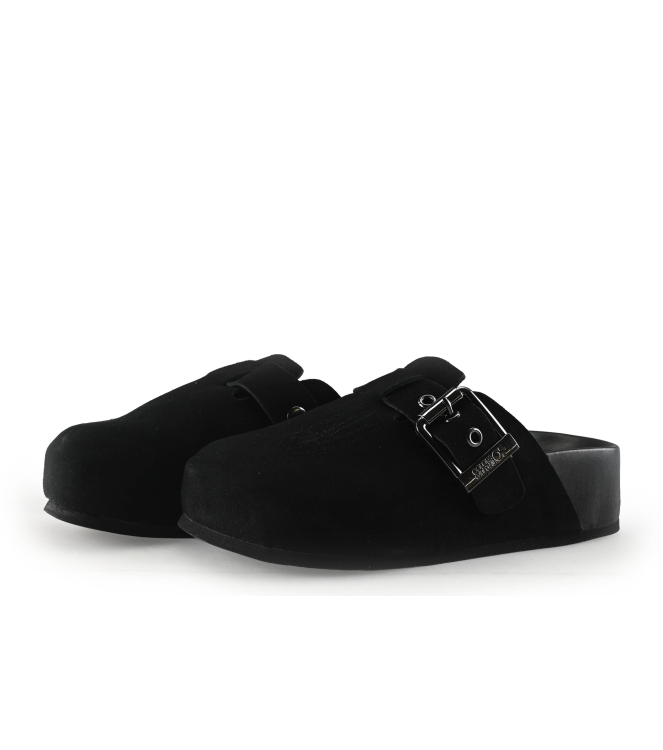 Colors of California Muiltjes