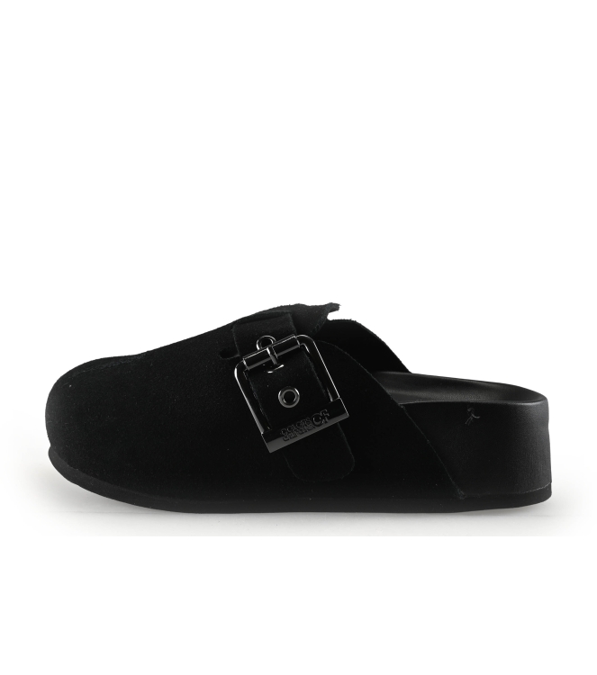 Colors of California Muiltjes