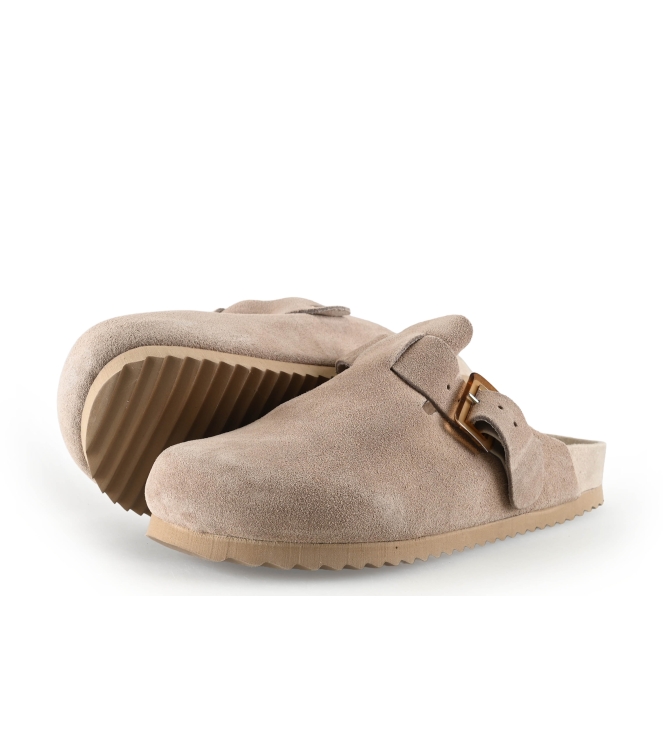 Colors of California Muiltjes