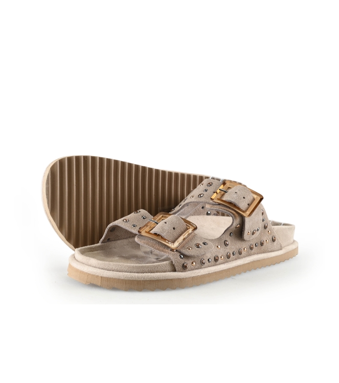 Colors of California Muiltjes