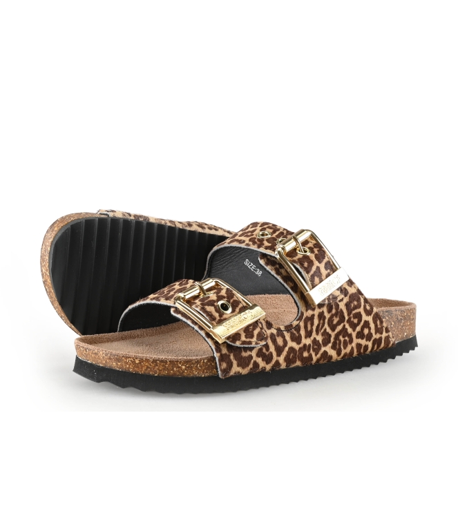 Colors of California Muiltjes