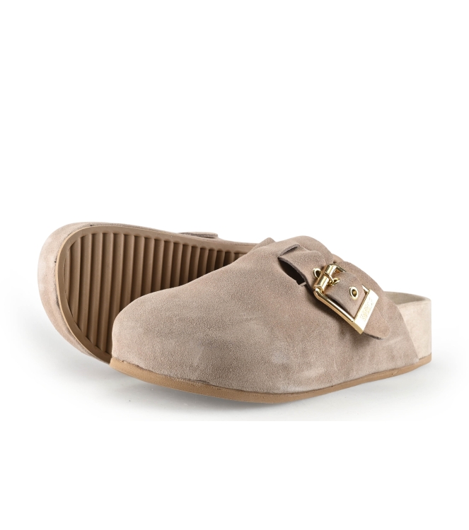 Colors of California Muiltjes