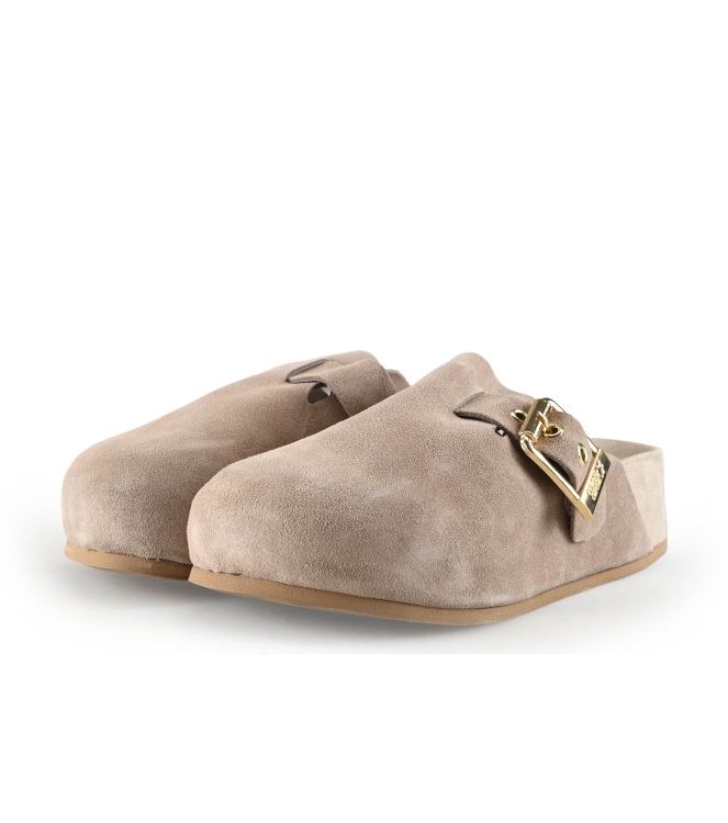 Colors of California Muiltjes