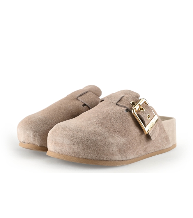 Colors of California Muiltjes