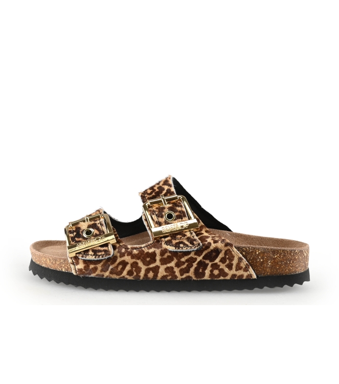 Colors of California Muiltjes