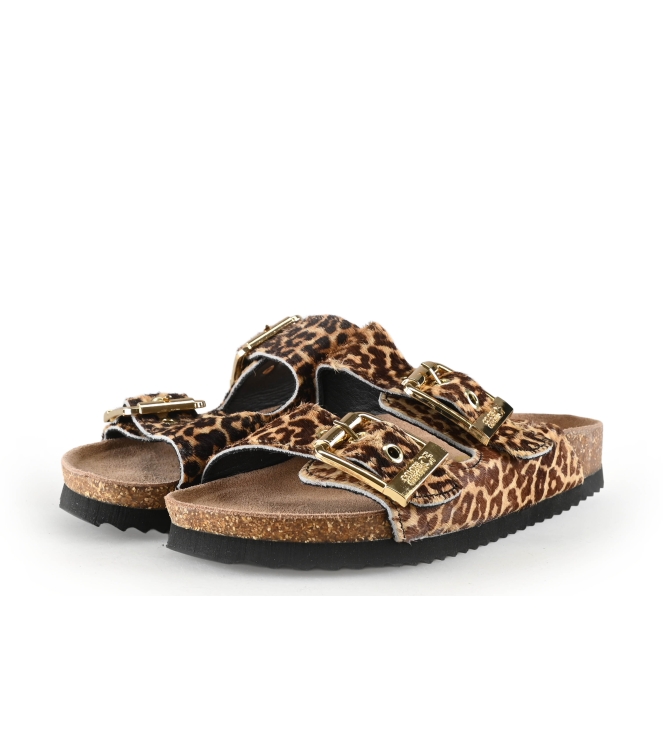 Colors of California Muiltjes