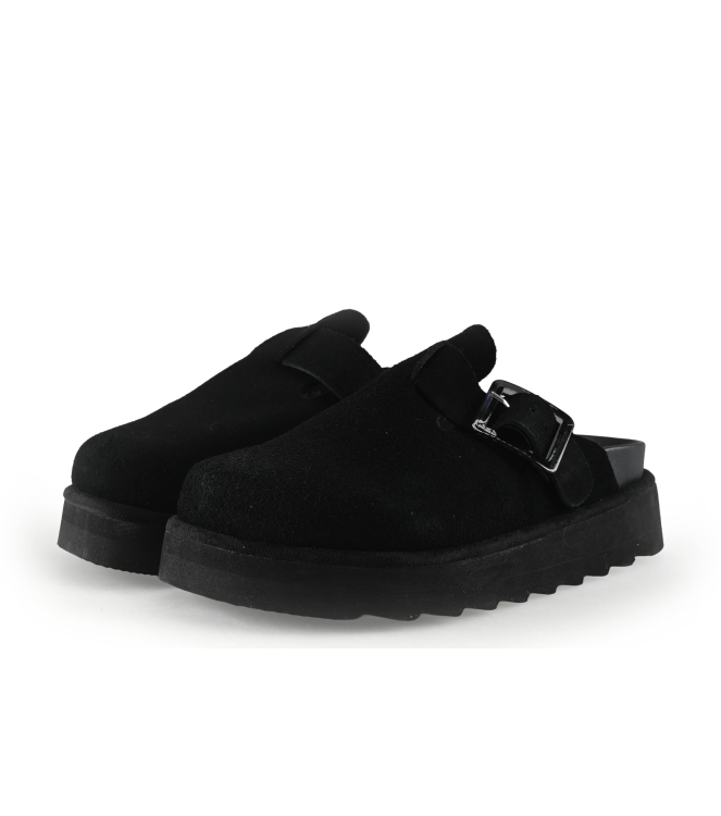 Colors of California Muiltjes