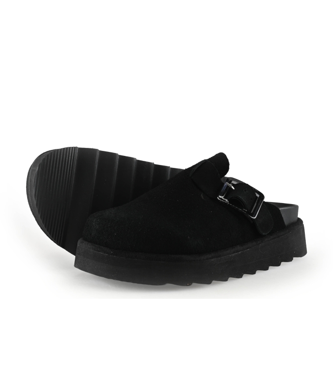 Colors of California Muiltjes