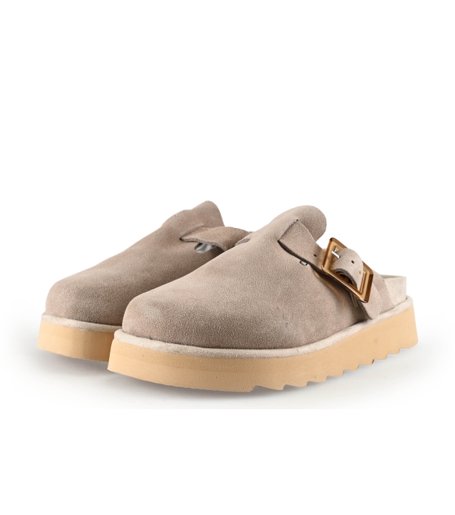 Colors of California Muiltjes