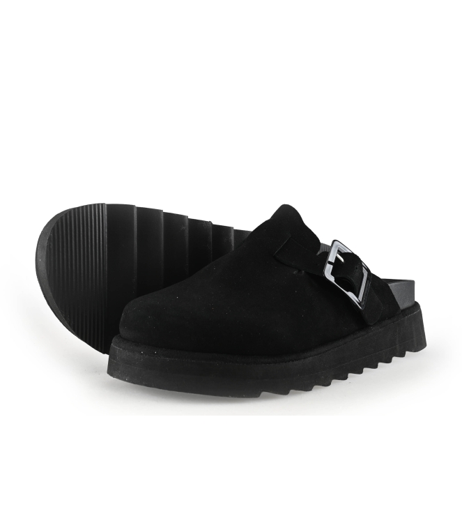 Colors of California Muiltjes