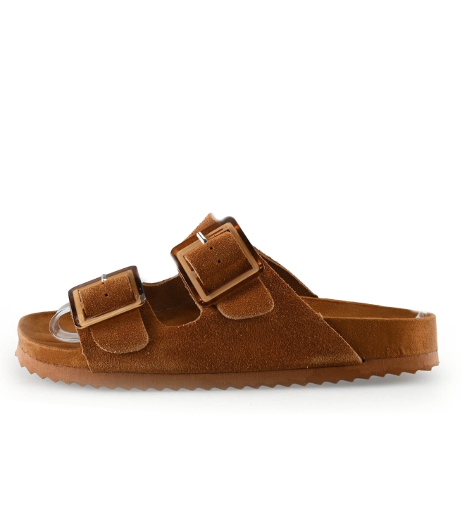 Colors of California Muiltjes