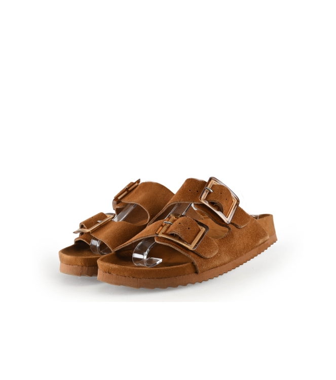 Colors of California Muiltjes