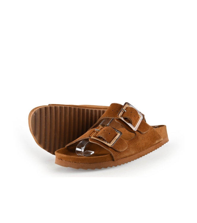 Colors of California Muiltjes