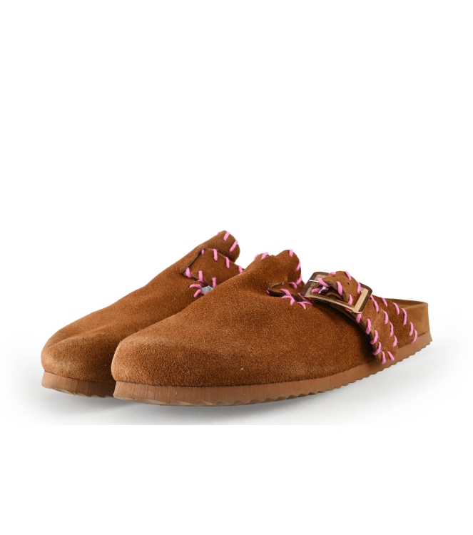 Colors of California Muiltjes