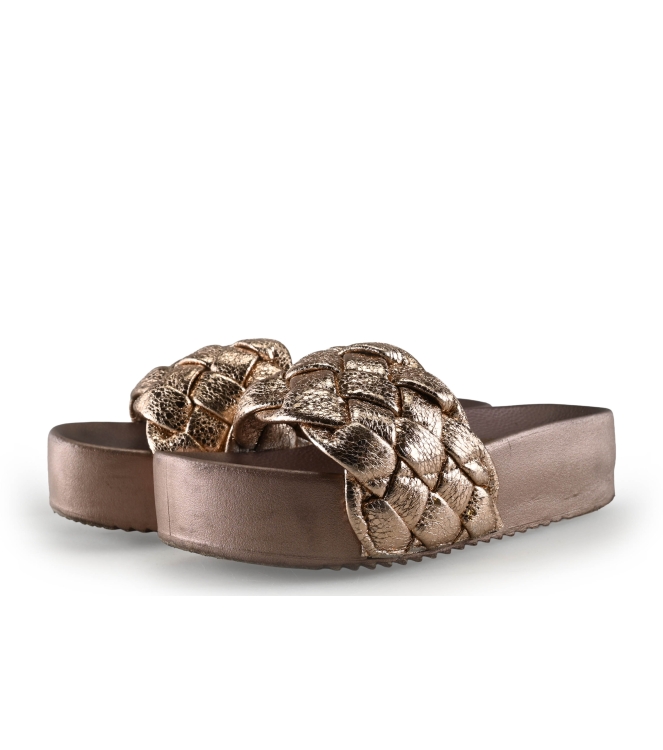 Colors of California Muiltjes