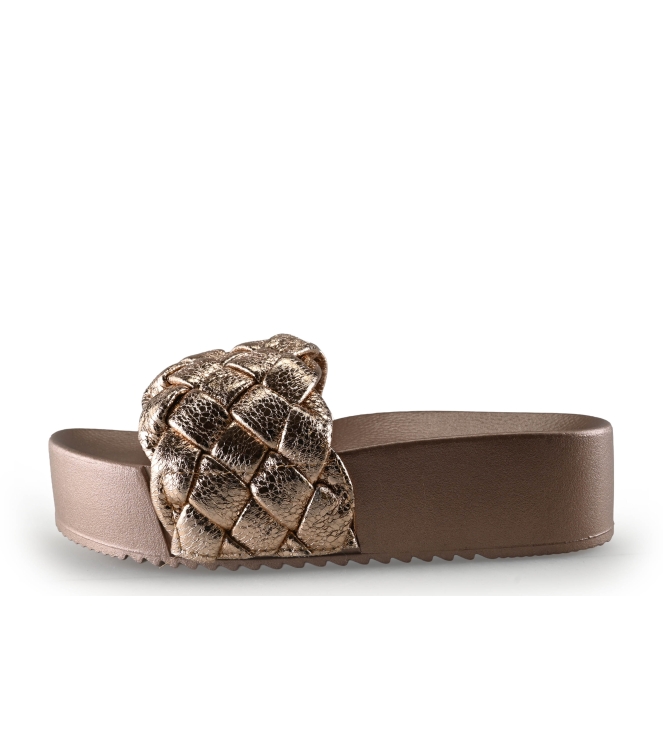 Colors of California Muiltjes