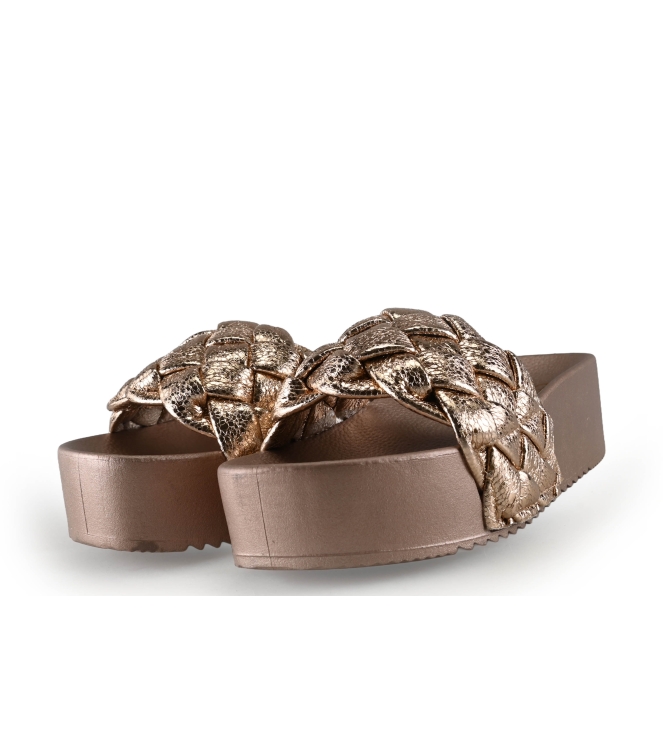 Colors of California Muiltjes