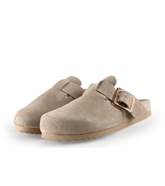 Colors of California Muiltjes