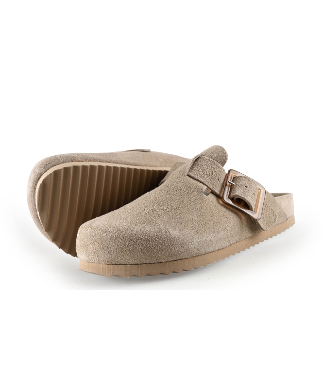 Colors of California Muiltjes