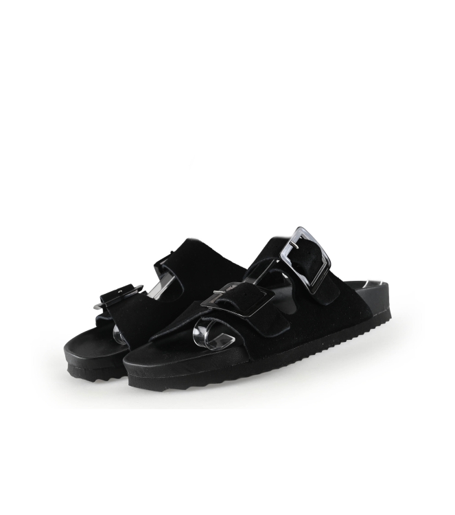 Colors of California Muiltjes