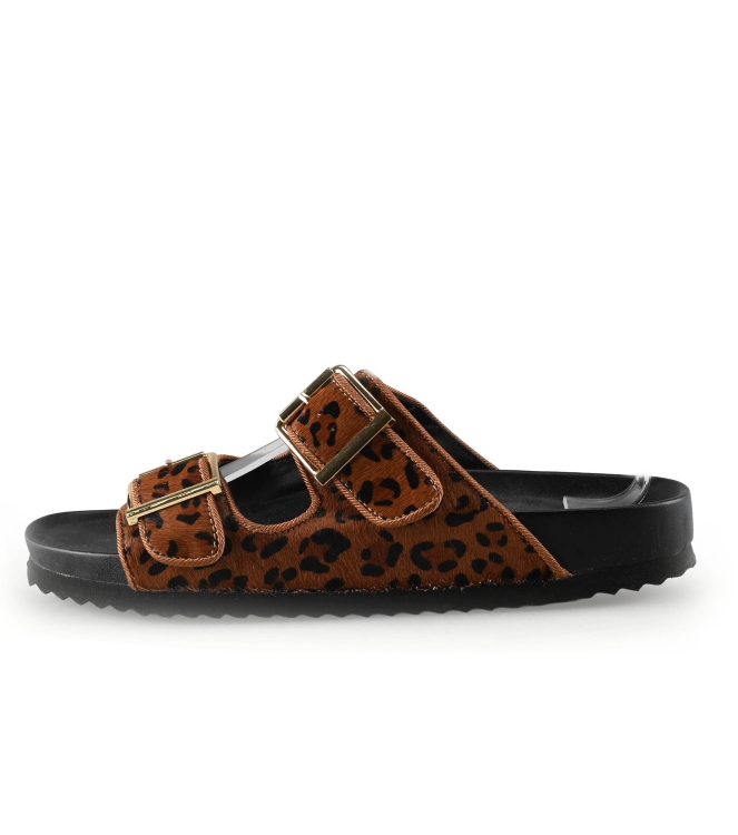 Colors of California Muiltjes