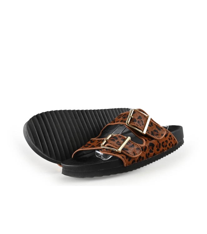 Colors of California Muiltjes