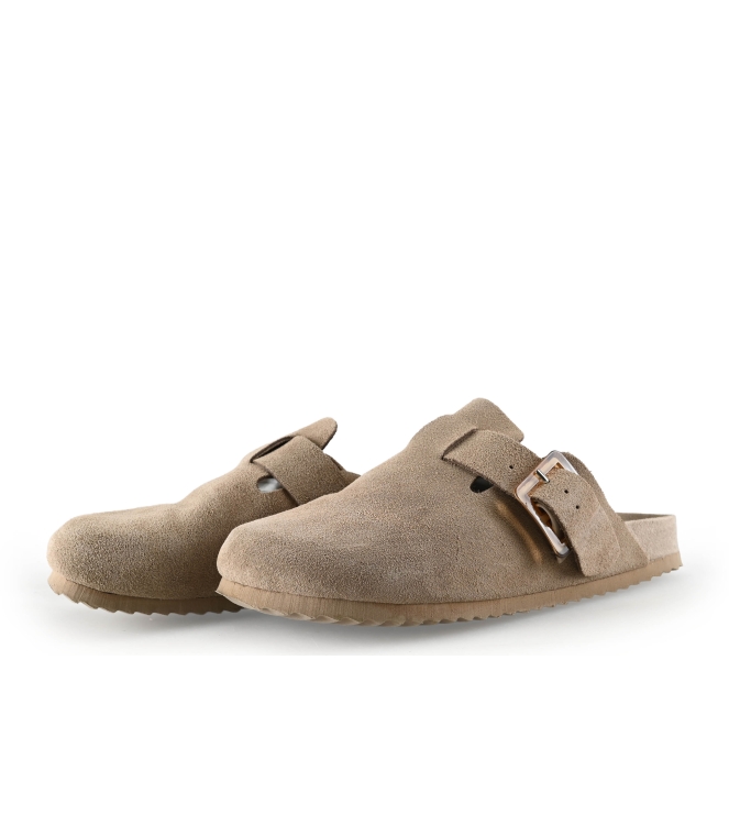 Colors of California Muiltjes