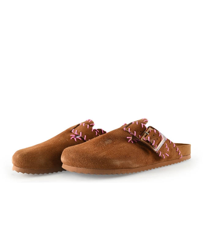 Colors of California Muiltjes